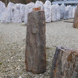  Vorschaubild G177-36336