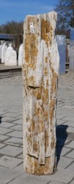  Vorschaubild G179-36454