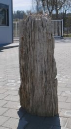  Vorschaubild G180-36455