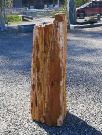  Vorschaubild G181-36534