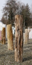  Vorschaubild G297-34605