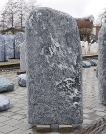  Vorschaubild M005-36291