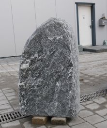  Vorschaubild M008-36293