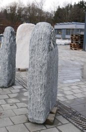  Vorschaubild M008-36293