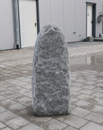  Vorschaubild M010-36294