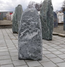  Vorschaubild M011-36321