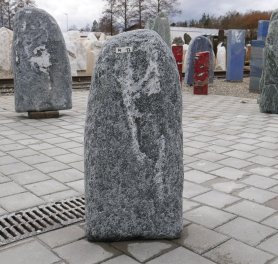  Vorschaubild M013-36323