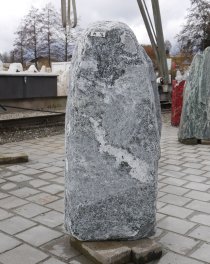  Vorschaubild M016-36325