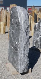  Vorschaubild M101-36863