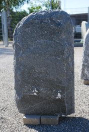  Vorschaubild M101-36863