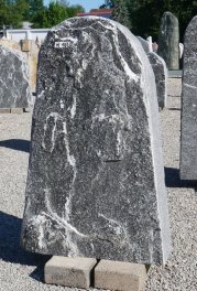  Vorschaubild M102-36864