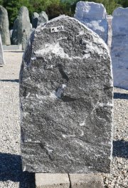 Vorschaubild M103-36865