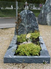  Vorschaubild MG010-36156