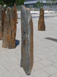  Vorschaubild SH060-36932