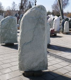  Vorschaubild SP042-36389