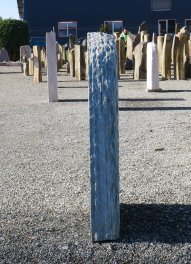  Vorschaubild SP056-34281
