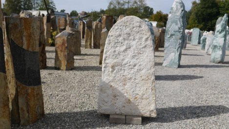  Vorschaubild SR041-37231