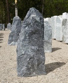  Vorschaubild TD016-36509