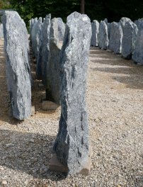  Vorschaubild TD146-31117