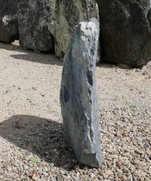  Vorschaubild TD220-31632