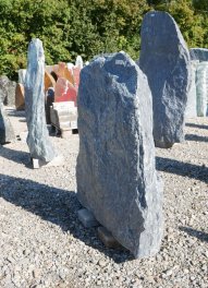  Vorschaubild TD233-37295
