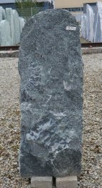  Vorschaubild TD242-37302