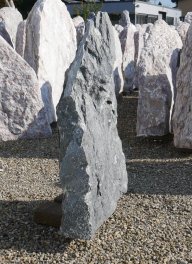  Vorschaubild TD244-37304