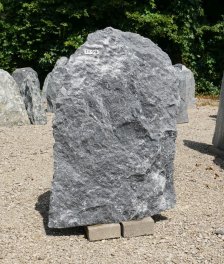  Vorschaubild TD316-33556