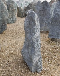  Vorschaubild TD408-34564