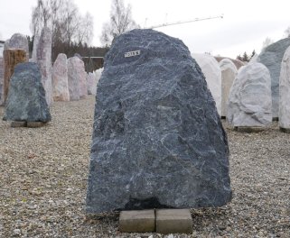  Vorschaubild TD555-29859
