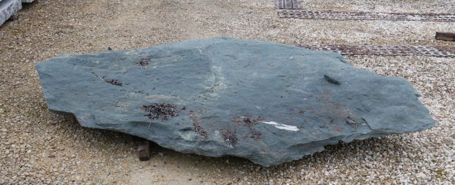  Vorschaubild TR-DG-12-36276