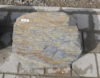  Vorschaubild U009-36302