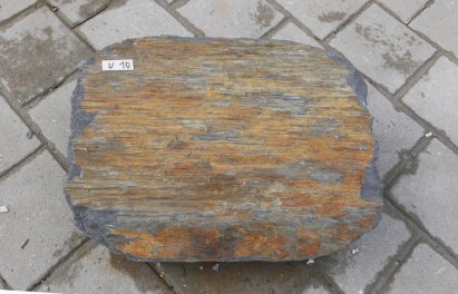  Vorschaubild U010-36303