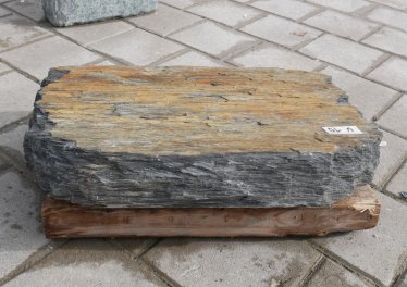  Vorschaubild U010-36303