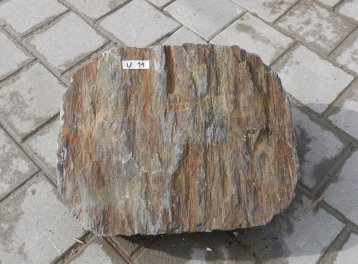  Vorschaubild U011-36304