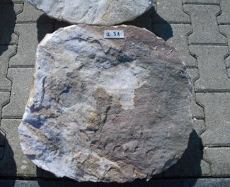  Vorschaubild U031-19428