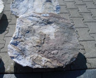  Vorschaubild U031-19428