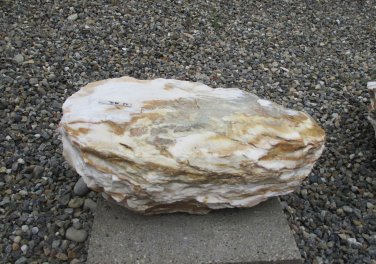  Vorschaubild U092-14536