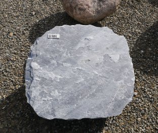  Vorschaubild U101-36692