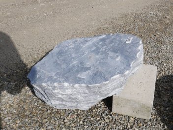  Vorschaubild U101-36692