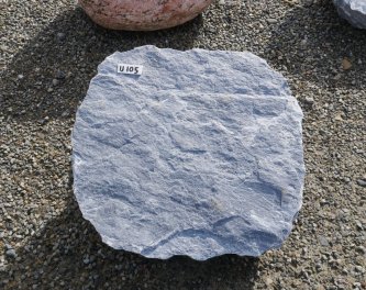  Vorschaubild U105-36693