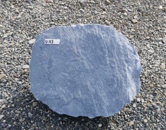  Vorschaubild U113-36697