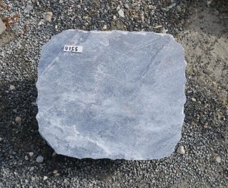  Vorschaubild U155-36701