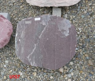  Vorschaubild U157-20293