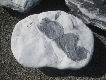 Vorschaubild U163-19854