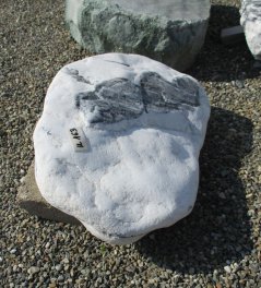  Vorschaubild U163-19854