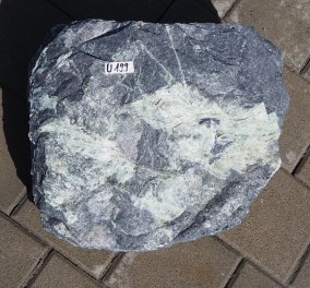  Vorschaubild U199-35249