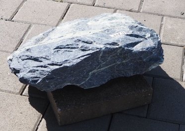  Vorschaubild U199-35249