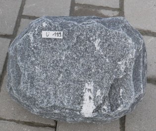  Vorschaubild U199-36830