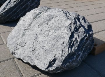  Vorschaubild U231-37061